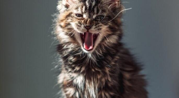 Roaring Kitty Just Posted A Reverse Uno Card: What Does It Signal For GameStop, AMC Shares?