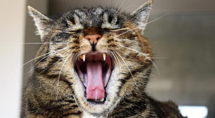 Regulators Turn Up The Heat On 'Roaring Kitty' Over Recent GameStop Trading Activity: What You Need To Know