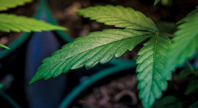 Canopy Growth Doubles Down On Its USA Strategy, Announces Exercise of Acreage Options
