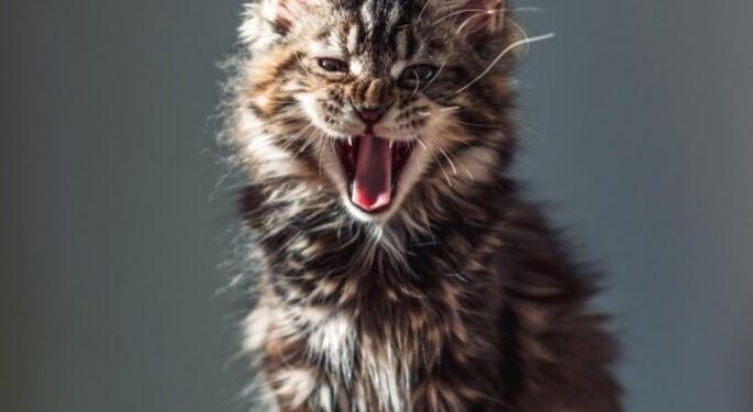 Kitty AI vuelve a impulsar el mercado de criptomonedas