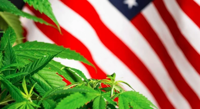 NY Approves Farmers Markets, FL Voters Eye Legalization Amid Banking Reform Stall, CA Advances Lounge Bill & More