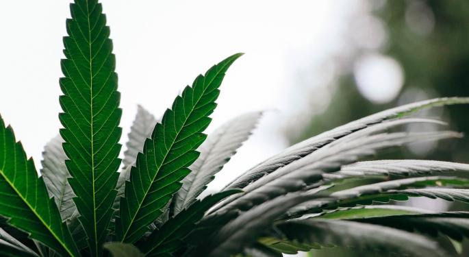 Legal Weed = Less Crime: FBI Data Shows Surprising Benefits Of Cannabis Legalization