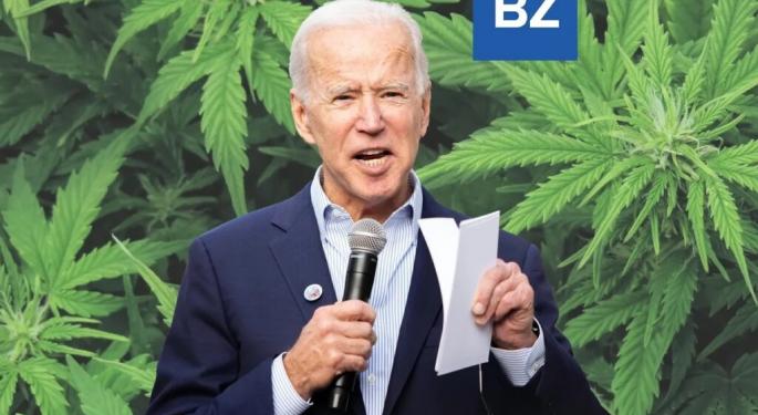 Biden Admits Marijuana Pardons Did Not Expunge Records: Not A Good Look For Dems As Trump Moves Up In Polls