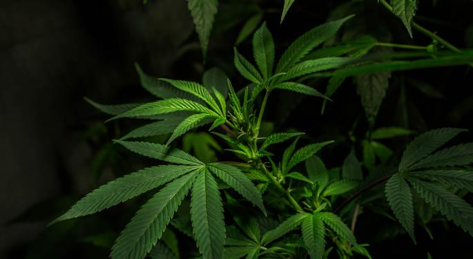 Cannabis Chart Of The Week: Is Financial Strength Related To YTD Stock Performance?
