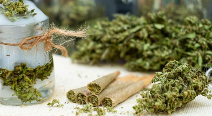 Comprehensive Guide on Pre-Rolled Cone Types