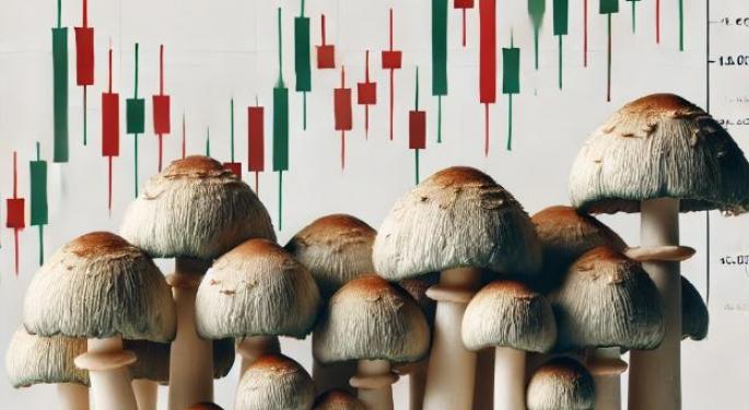 Good Shroom Reports Q3, Revenue Dips 10.3% YoY, Net Profit Still Positive