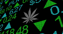Consolidamento nel settore cannabis: quali aziende sono favorite?