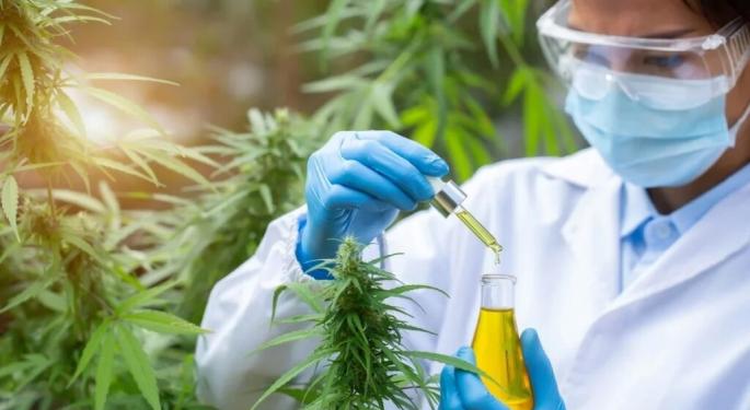 Cannabis Linked To Diabetes Prevention And Better Blood Sugar Control, New Study Finds