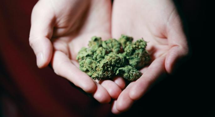 Hemp May Shrink Prostate Cancer Tumors, Say UK Researchers Who Move To Prove Effectiveness