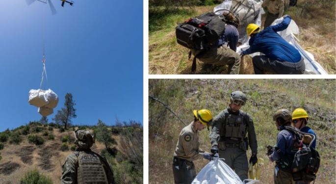 Illegal Marijuana Grows Left 6,000 Pounds Of Waste In California State Parks, Helicopters Were Needed To Clean It Up
