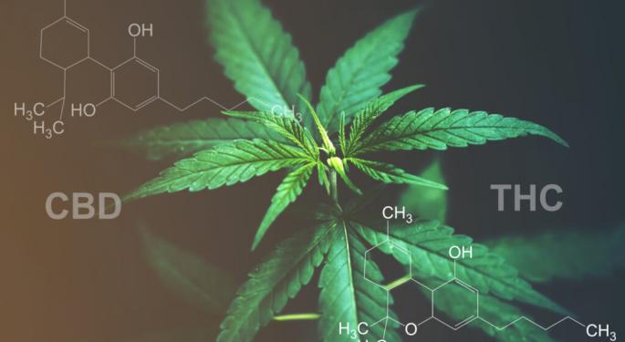 As Legalization Looms, AbbVie And Other Major Pharma Players Set Sights On Cannabis Market