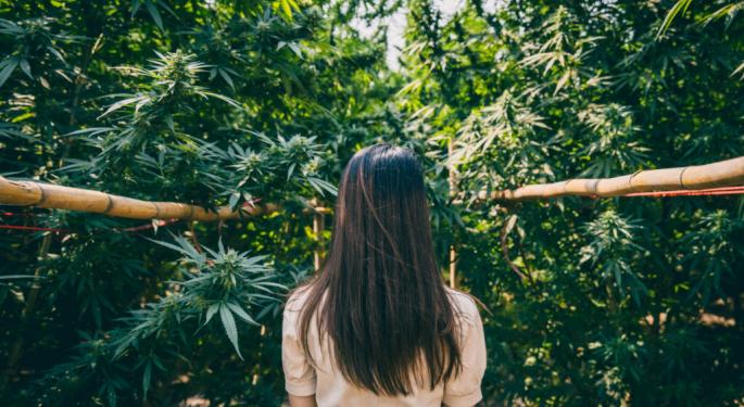 How Scholarships Are Creating Opportunities For Women In Cannabis