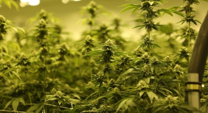 Aurora Ramps Up Medical Cannabis Production In Germany With Enhanced Licenses To Expand Portfolio