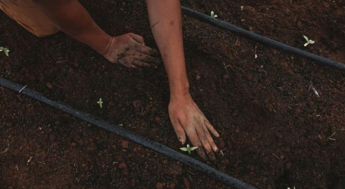 Cannabis Sustainability: Why It Matters and How to Achieve It With Practical Inexpensive Measures