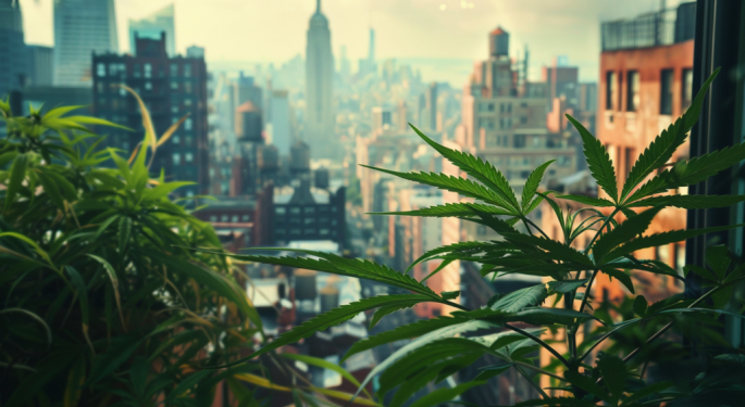 New Yorkers In A Bind As Top-Shelf Cannabis Supply Falls Short, Could Home Cultivation Help?