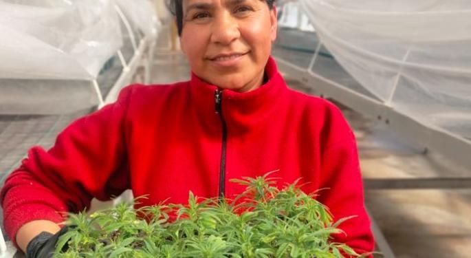 Chilecito: A Valley In The Andes That Defeated Mega-Mining And Embraced Sustainable Cannabis