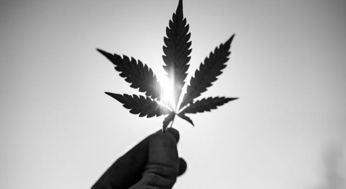 Cultivator Chronicles: The Cutting-Edge Science Of Cannabis Cultivation