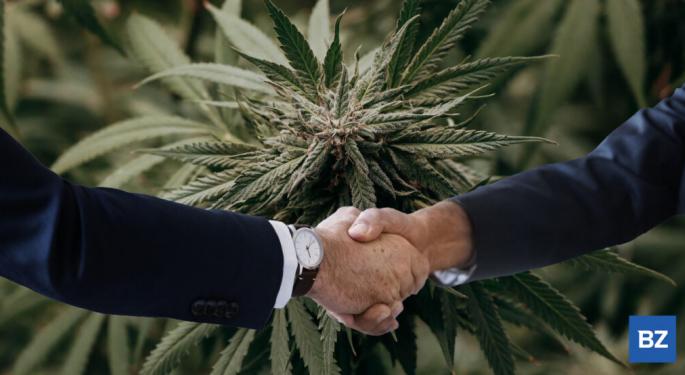 CEO Shake-Ups At Canopy, Curaleaf And Recent Top Exec And Board Changes In Cannabis And Psychedelics