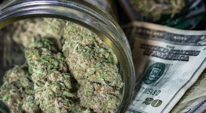 Florida Cannabis Operator Cansortium Posts 12% Revenue Surge, Prepares For Big Merger Amid Heated Price War
