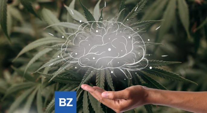 Can THC Turn Back The Clock? Cannabis Reverses Brain Aging, Boosts Mental Capacity, New Study Suggests