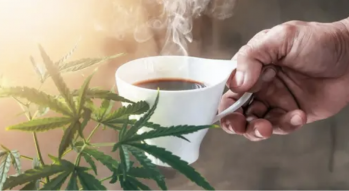 In Amsterdam Style, California Senate Moves To Legalize Cannabis Farmers Markets And Cafes