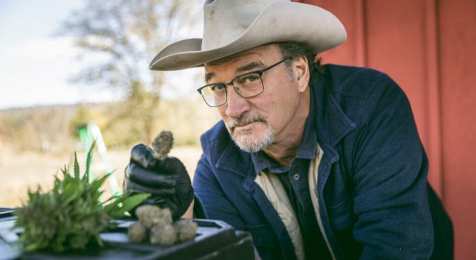 Hollywood Star Jim Belushi Brings Cannabis Expertise To Chicago Conference In October