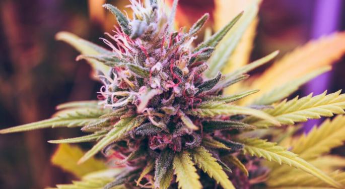 Lifeist Sells CannMart To Simply Solventless To Focus On Its 'Core Mission Of Transforming Human Wellness'