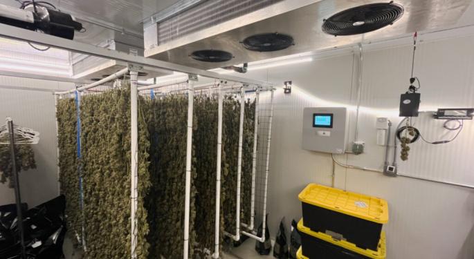 How This Cheese-Aging Tech Is Boosting Profits For Cannabis Growers: Stop Throwing Cheddar Out The Door