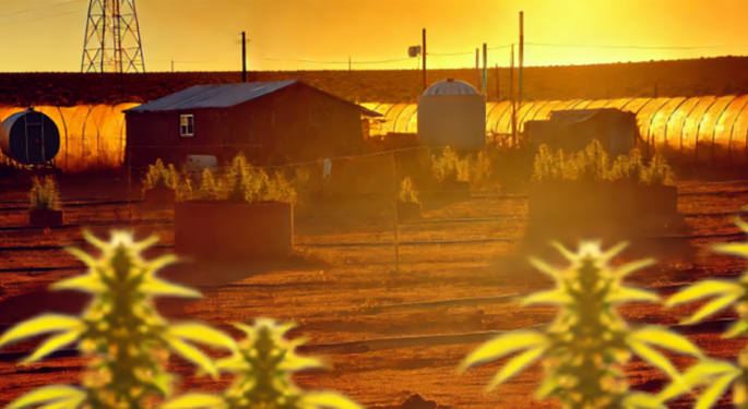 New Mexico's Cannabis Industry Struggles Against Criminal Exploitation And Regulatory Failures