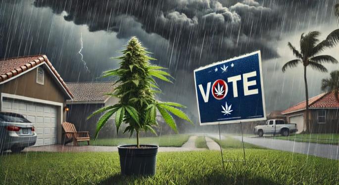 Fact-Check DeSantis: Why Florida's Weed Legalization Does Not Mean Smoking In Schools