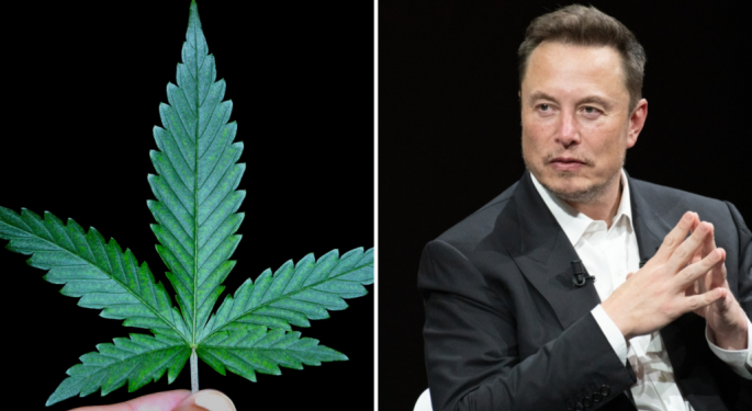 Elon Musk-Linked Organization Donates $500,000 To Scuttle Florida Cannabis Legalization Amendment