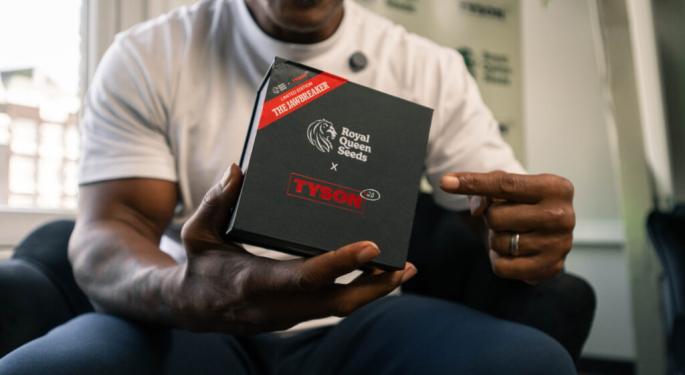 Mike Tyson Returns To The Ring: Royal Queen Seeds & TYSON 2.0 Launch Limited-Edition Jawbreaker Box To Mark Occasion