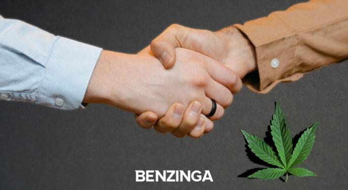 How Cannabis Companies Can Thrive: 'Cash Capital Is Tough To Find,' But Partnerships Hold The Key