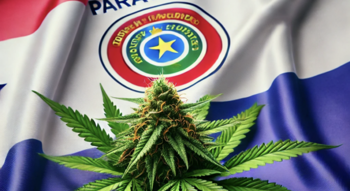 Guaraní Cannabis Lands In Europe: Paraguay To Export 100% Of Its Flower Production