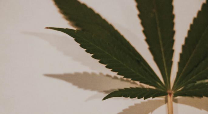High Expectations: Entertain, Educate Audience Says Cannabis Media Expert