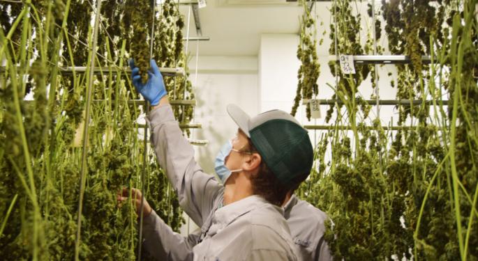 Hemp Thrives In Texas Shops Near Schools: Why This Company Bet On The Country's Most Regulated Cannabis Market