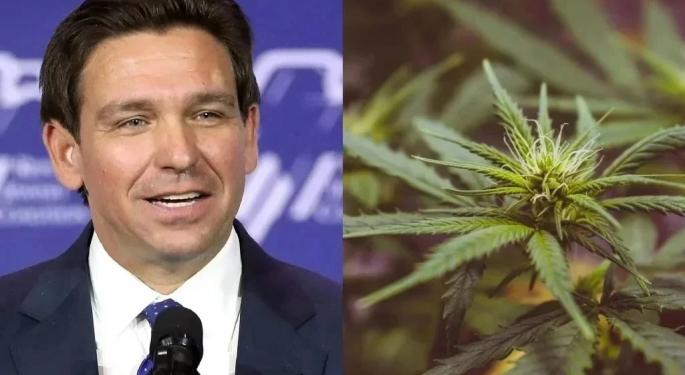 DeSantis Battles Former Allies Donald Trump, Jeff Roe Over Florida's Cannabis Legalization Push