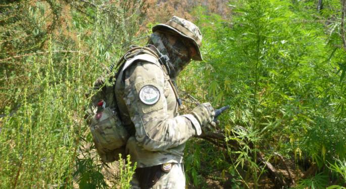 Gov. Newsom's Cannabis Task Force Seized $191M So Far In 2024 As California Tightens Regulations