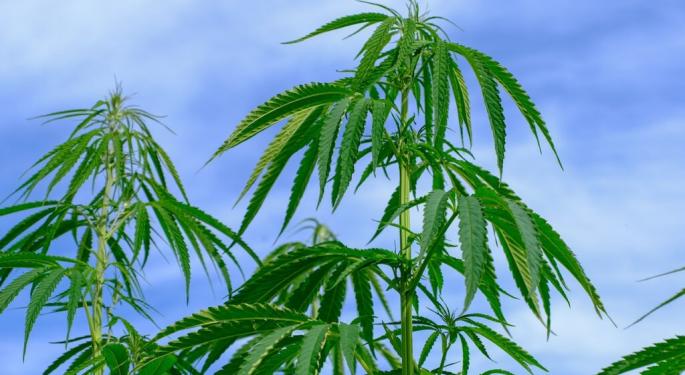 Federal Govt. Awards $19.6M To Hemp Cultivation Initiative For Climate-Smart Water, Soil, Wildlife Conservation Effort