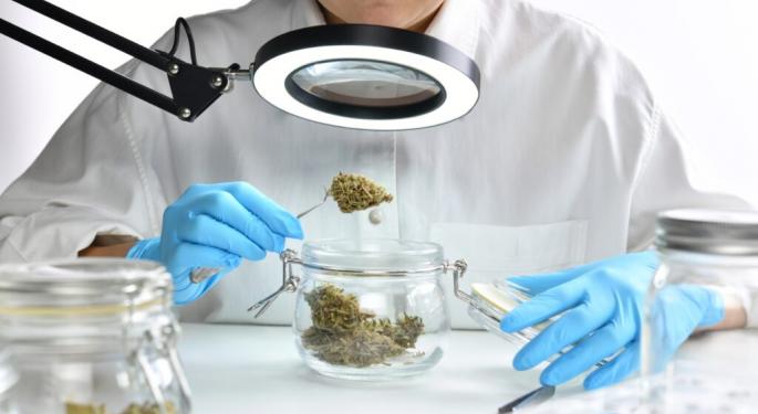 Banned Pesticides, Covid 19 Found In 80% Of Illegal Cannabis Samples From Germany And Europe