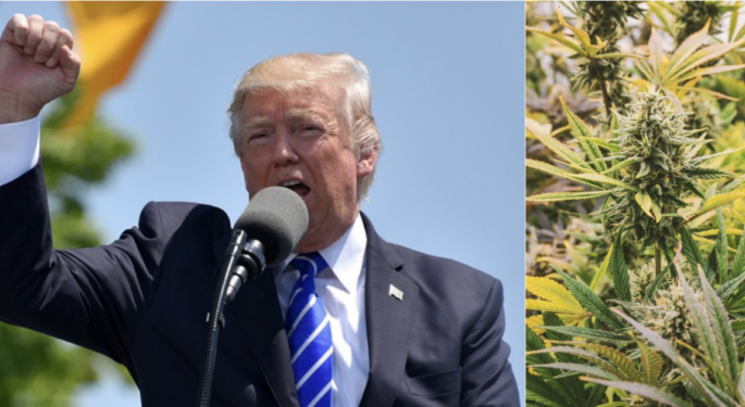 Cannabis Industry Leaders React To Trump Victory: Expect Changes