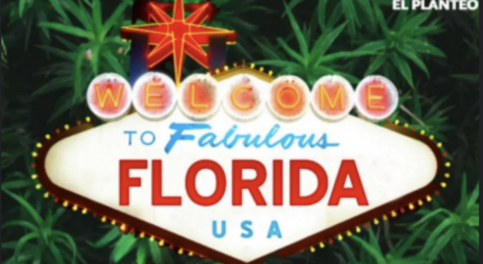 Florida's Cannabis Initiative Defeated: Trulieve CEO Kim Rivers, NFL's Ricky Williams And Others Respond