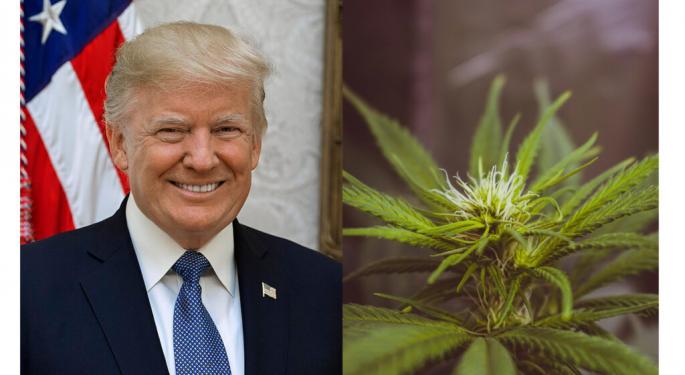 Donald Trump's Evolving Stance On Marijuana: Is Cannabis Legalization Finally On His Agenda?