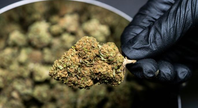 North Dakotans Reject Measure To Legalize Recreational Cannabis, 'Keeping A Shadow Over Their Garden'
