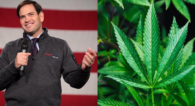 Trump Says His Secretary Of State Pick Marco Rubio Is 'Powerful Voice For Freedom' – But What About Cannabis?