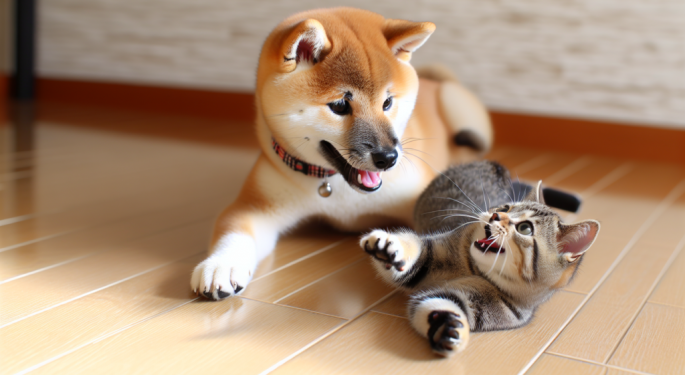 Dogecoin Shot Up Over 300% In 2024 But Cat-Themed Popcat is The Real Top Dog With 23800% Returns This Year