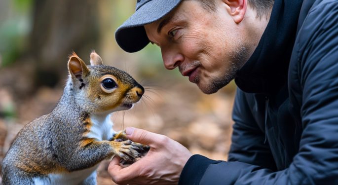 If You Invested $100 In PNUT Meme Coin When Elon Musk Tweeted About Social Media Squirrel, Here's How Much You'd Have Today