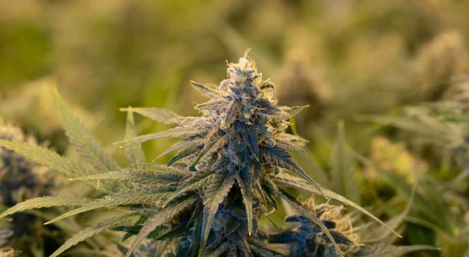 Isiah Thomas' One World Products Makes Strides In Sustainability With Strategic Hemp Innovations
