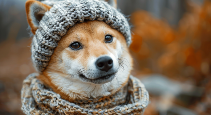Dogwifhat Now Available To Trade On Robinhood — Can That Stop Its Underperformance Against Dogecoin, Shiba Inu?