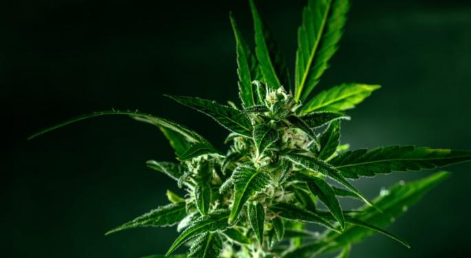 Berlin's Justice Senator Says Cannabis Law Benefits Mafia-Like Structures And It Should Be Repealed